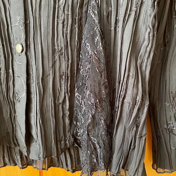 Vintage Pleated Sheer Blouse - Picture 4 of 6